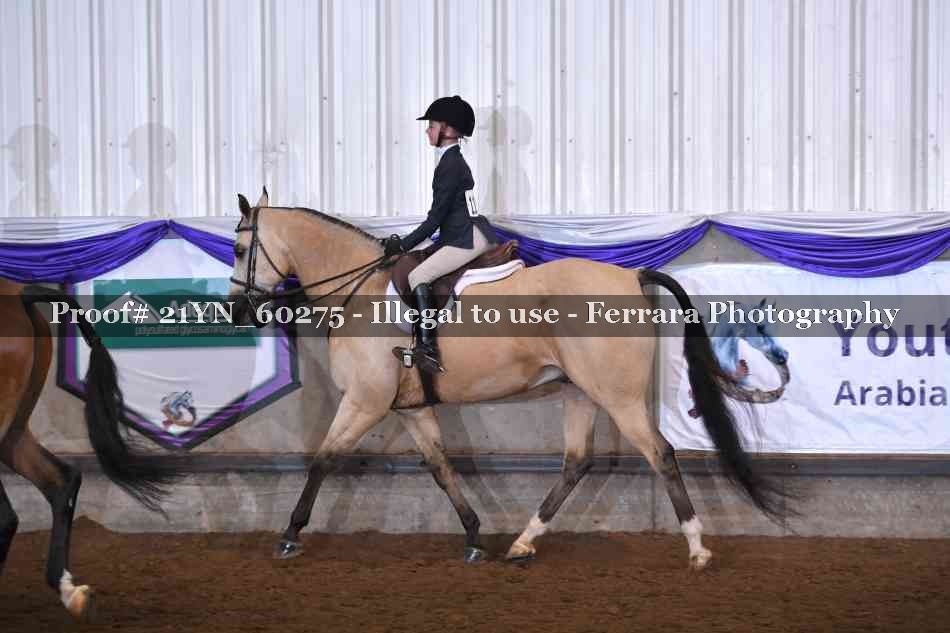Proof 21YN_60275