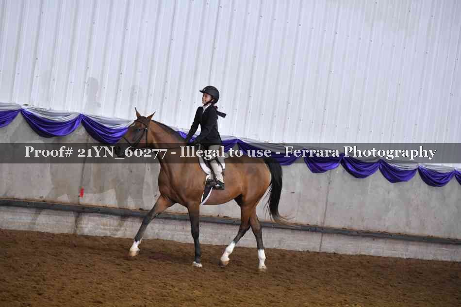 Proof 21YN_60277