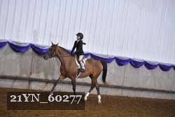 21YN_60277 proof