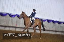 21YN_60281 proof