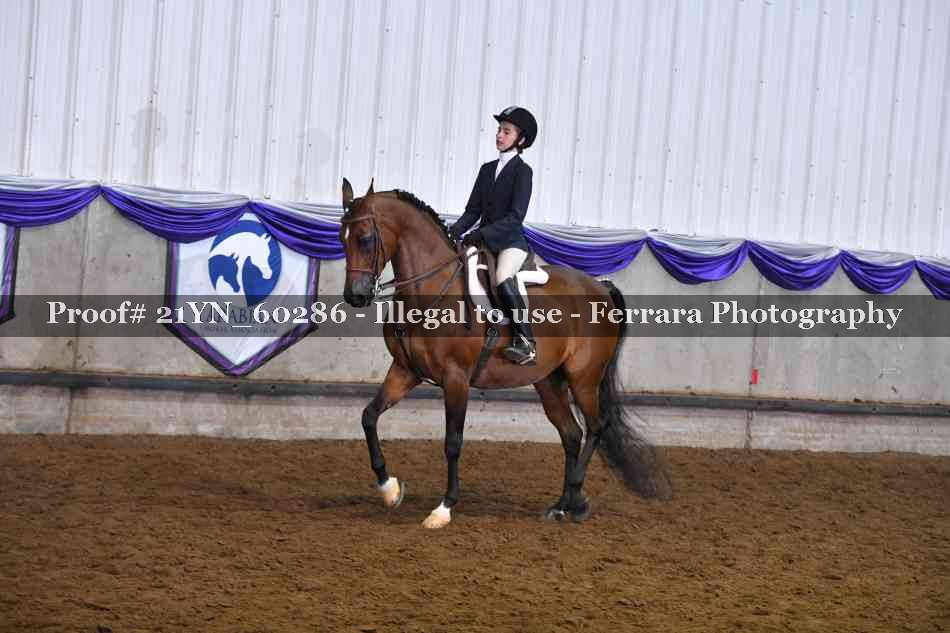 Proof 21YN_60286