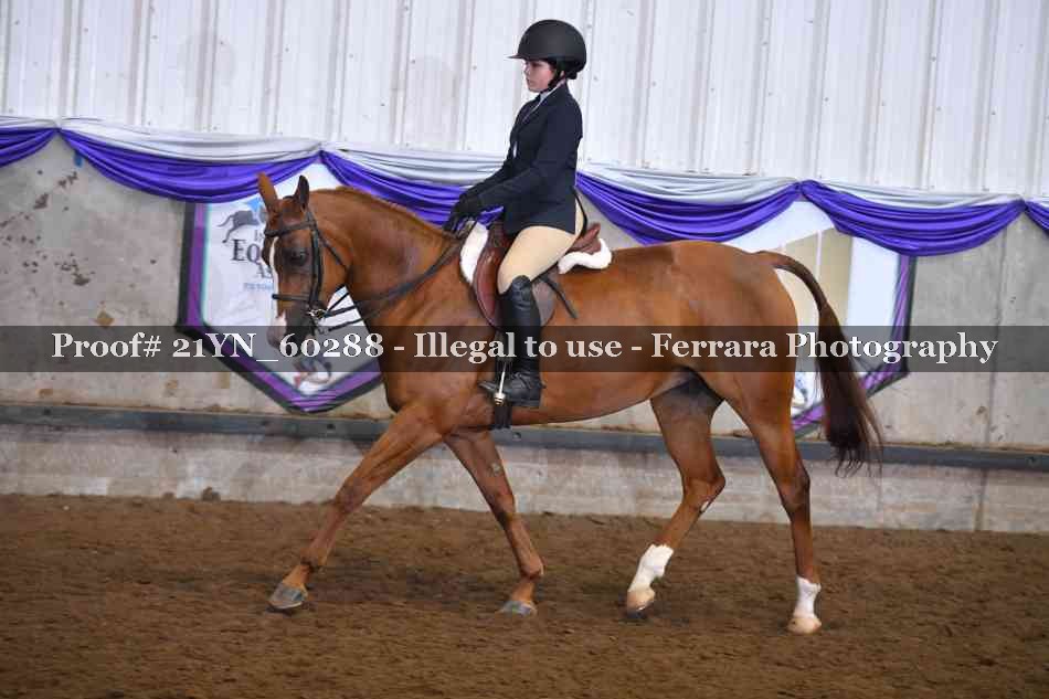 Proof 21YN_60288