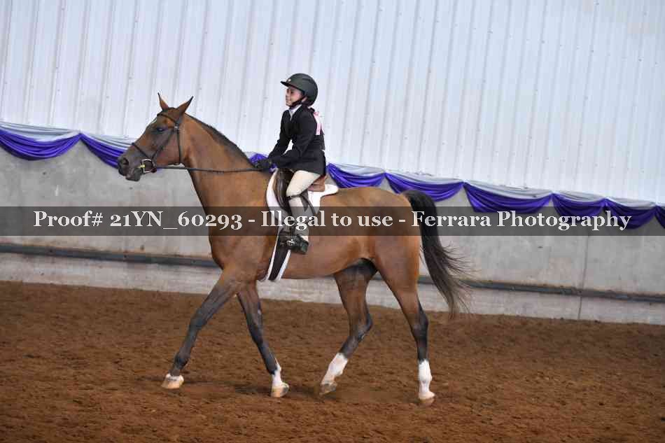 Proof 21YN_60293