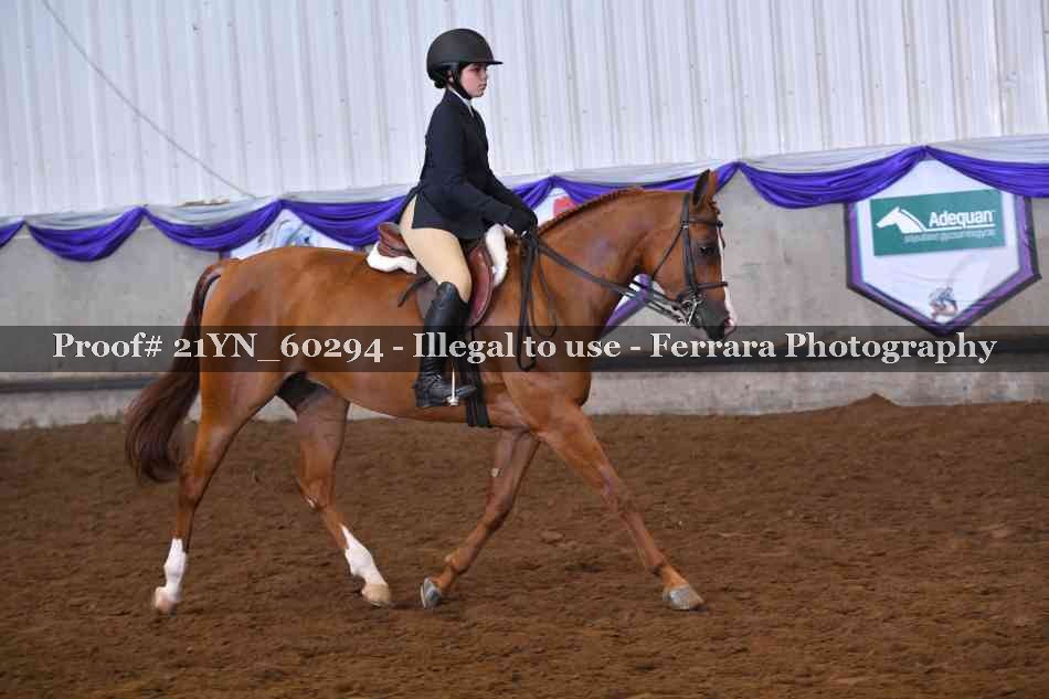 Proof 21YN_60294