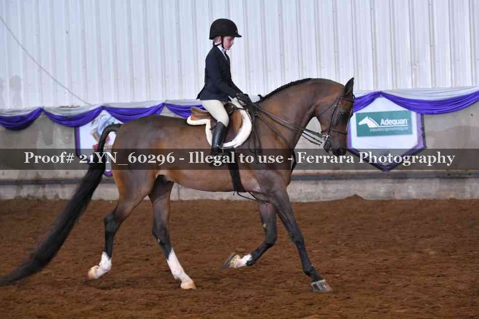 Proof 21YN_60296