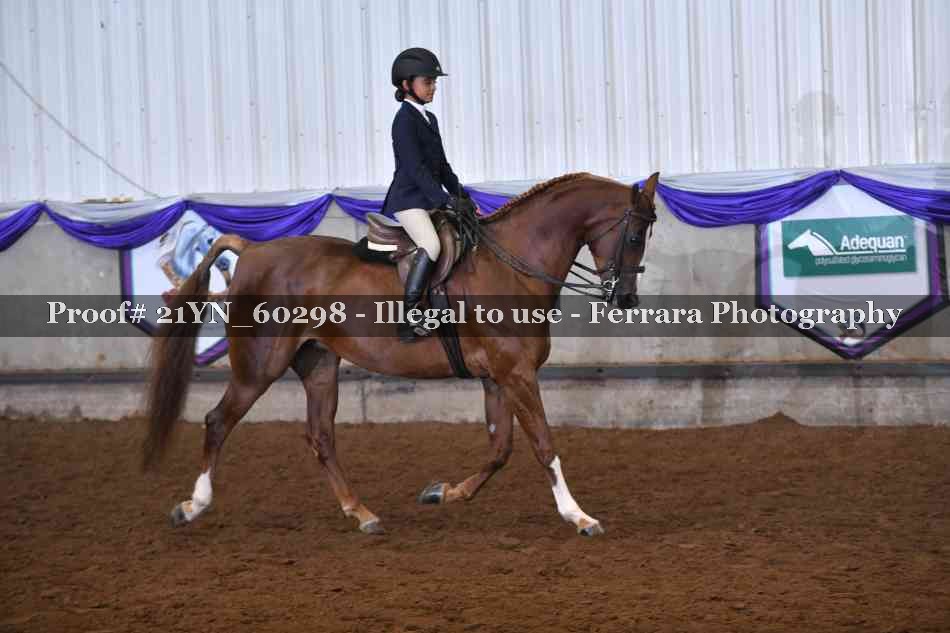 Proof 21YN_60298