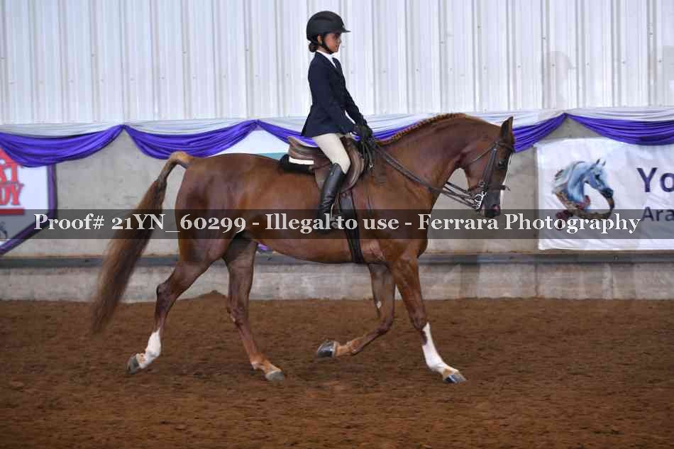 Proof 21YN_60299