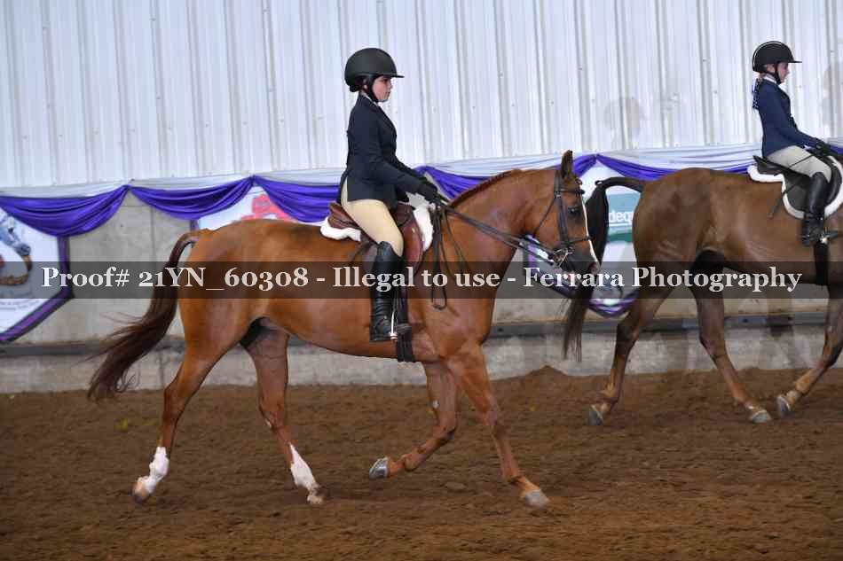 Proof 21YN_60308