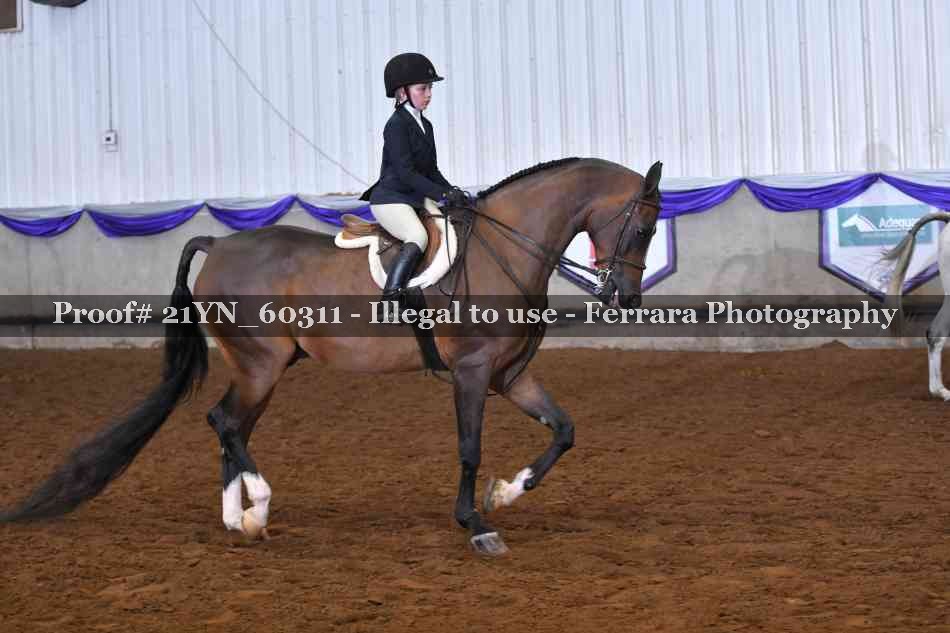 Proof 21YN_60311
