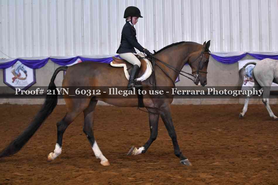 Proof 21YN_60312