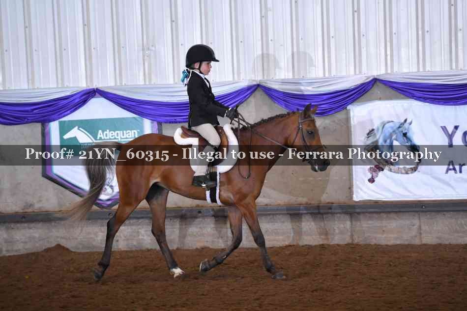 Proof 21YN_60315