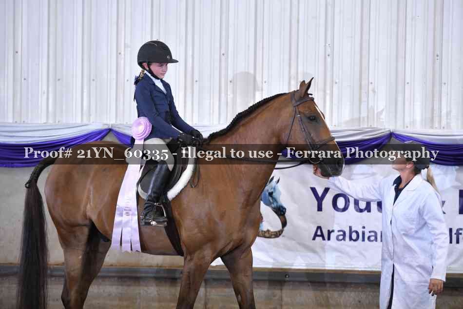 Proof 21YN_60335