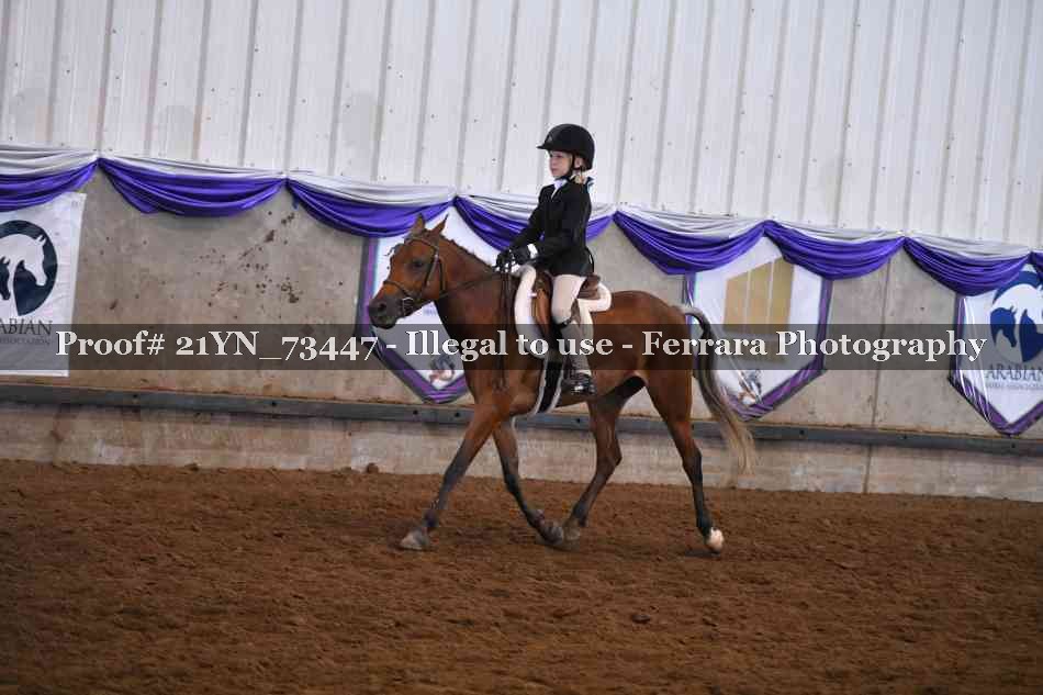 Proof 21YN_73447