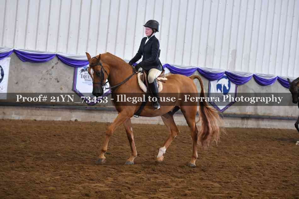 Proof 21YN_73453