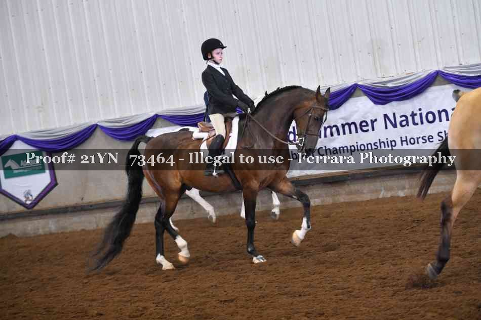 Proof 21YN_73464