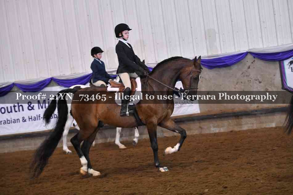 Proof 21YN_73465