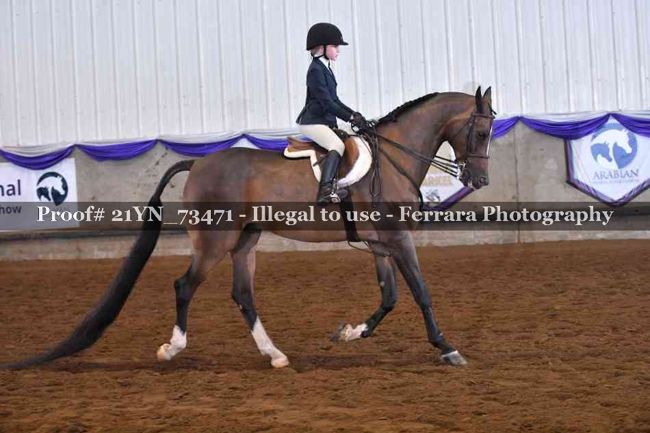 Proof 21YN_73471