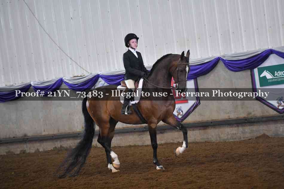 Proof 21YN_73483