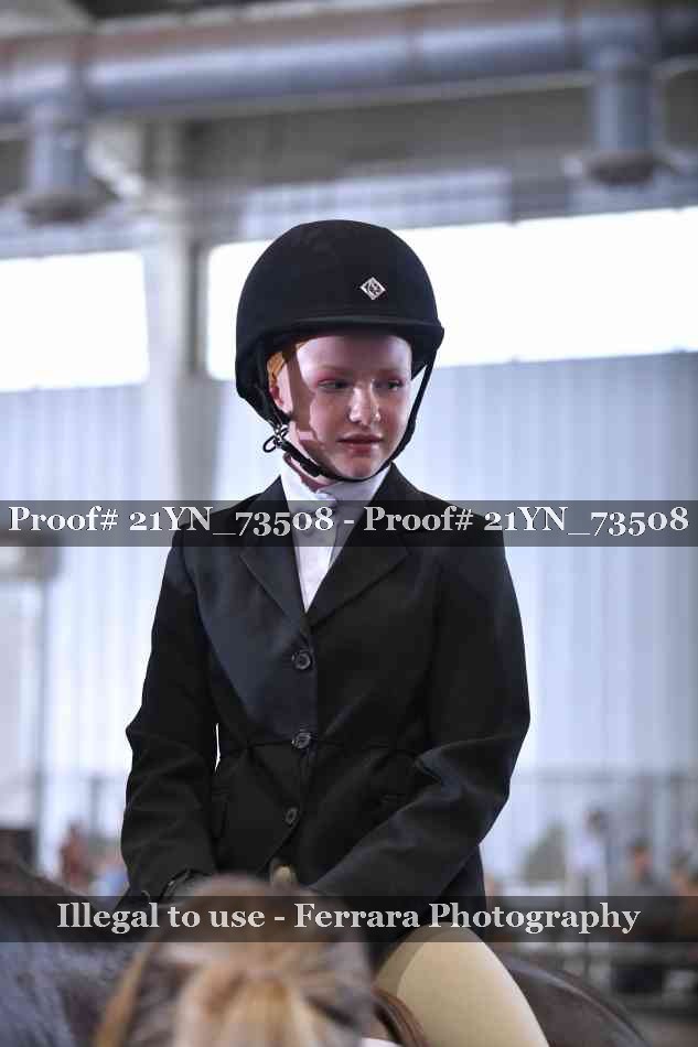 Proof 21YN_73508