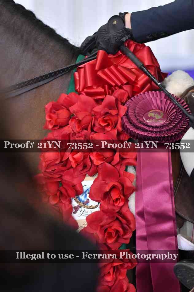Proof 21YN_73552