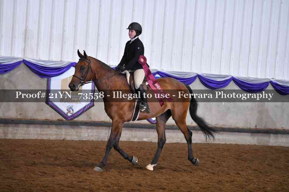 Proof 21YN_73558