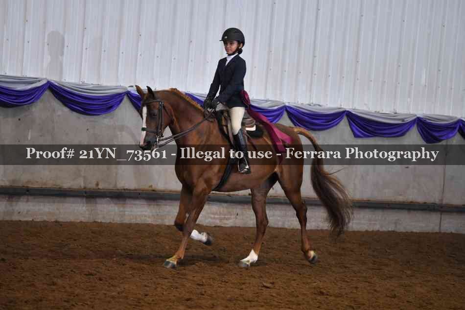 Proof 21YN_73561