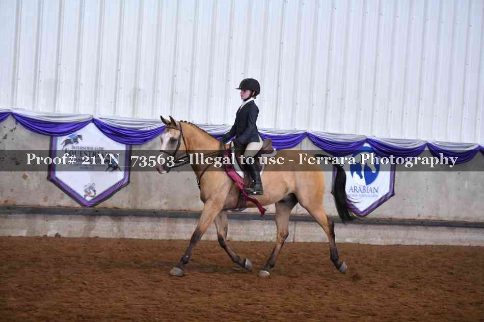 Proof 21YN_73563