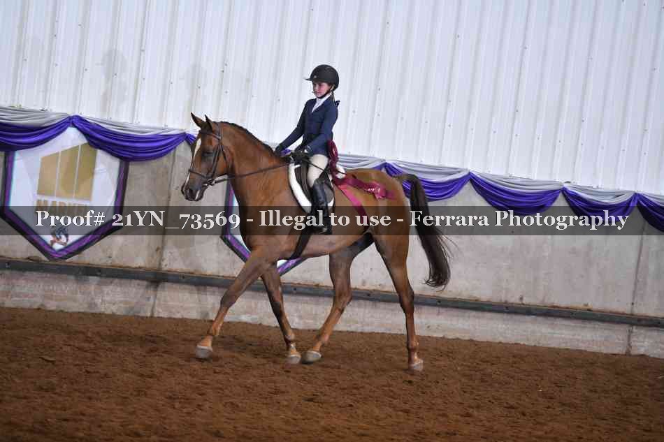 Proof 21YN_73569