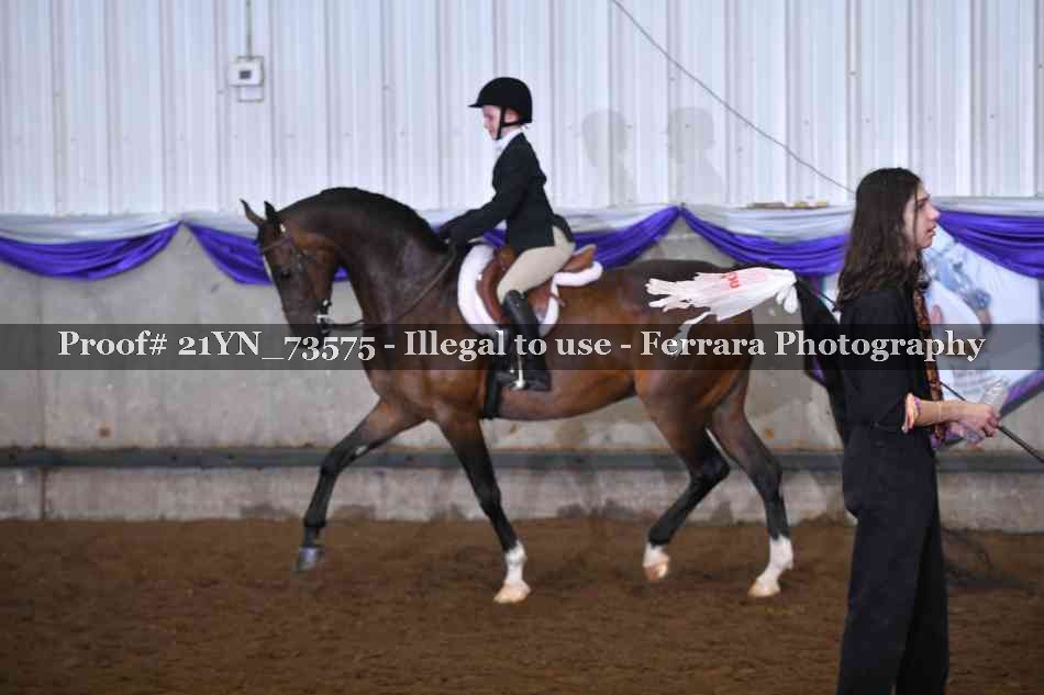 Proof 21YN_73575