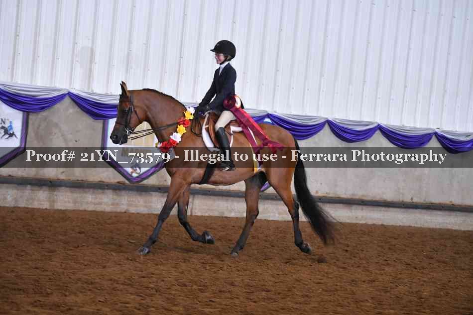 Proof 21YN_73579