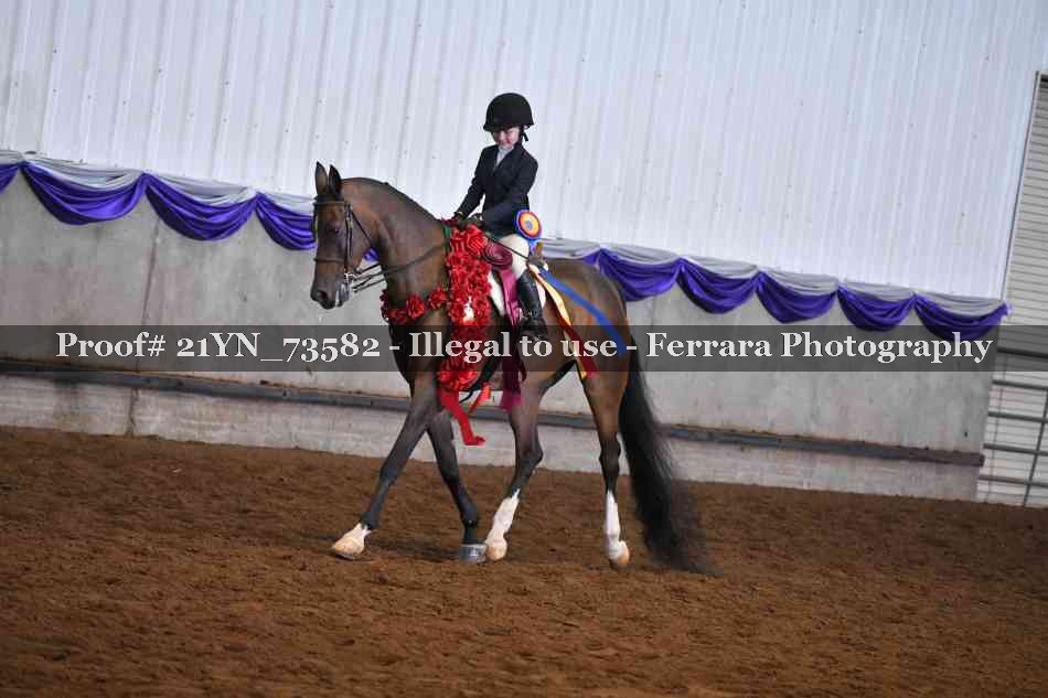Proof 21YN_73582