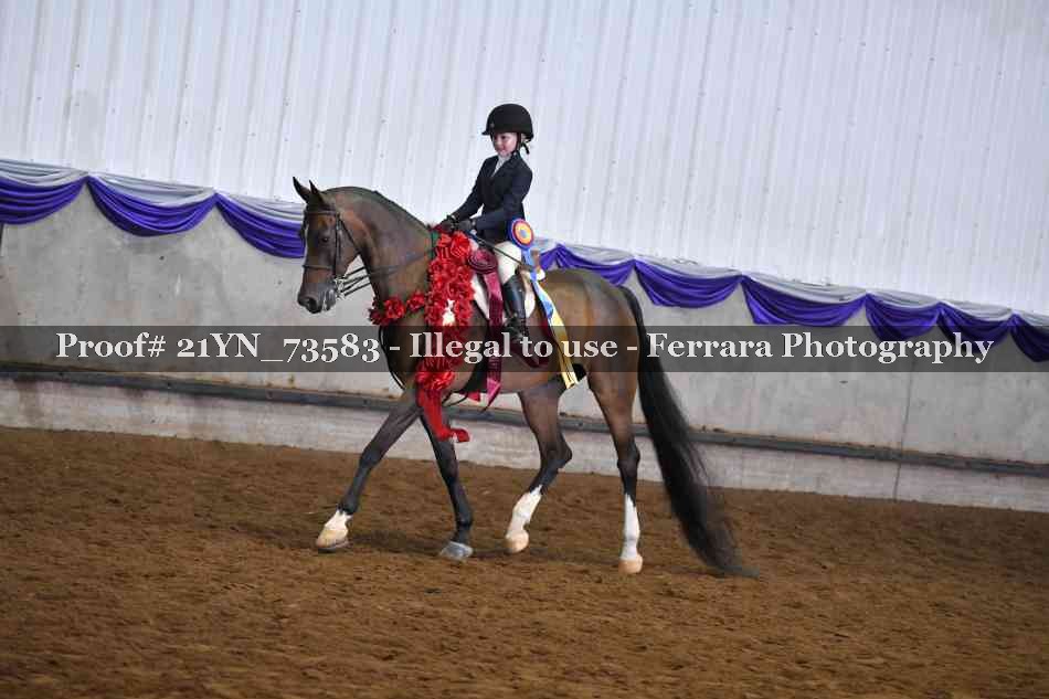 Proof 21YN_73583