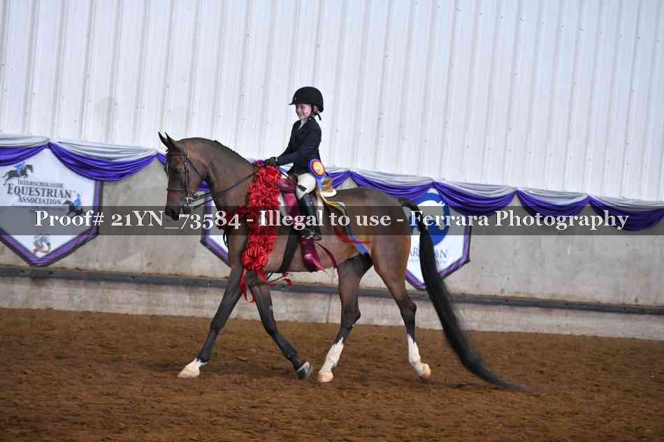 Proof 21YN_73584
