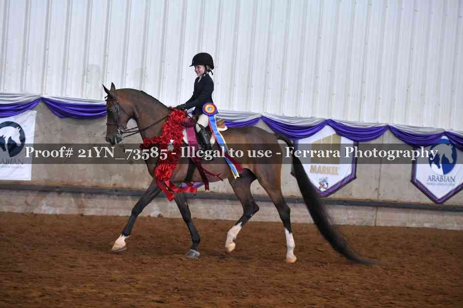 Proof 21YN_73585