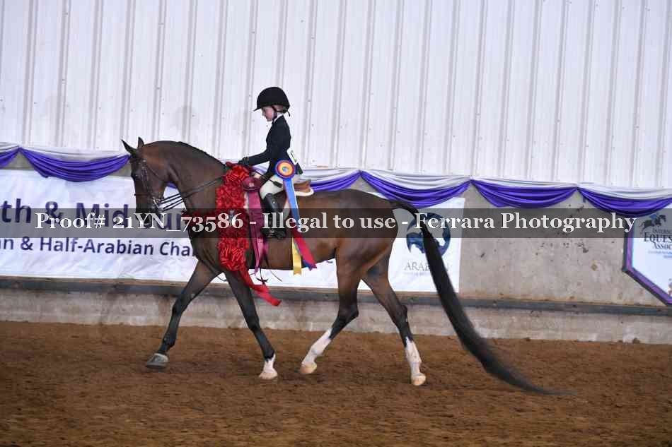 Proof 21YN_73586