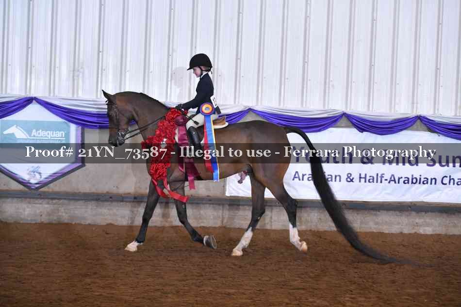 Proof 21YN_73587
