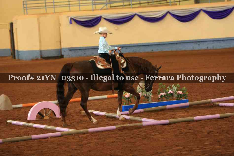 Proof 21YN_03310