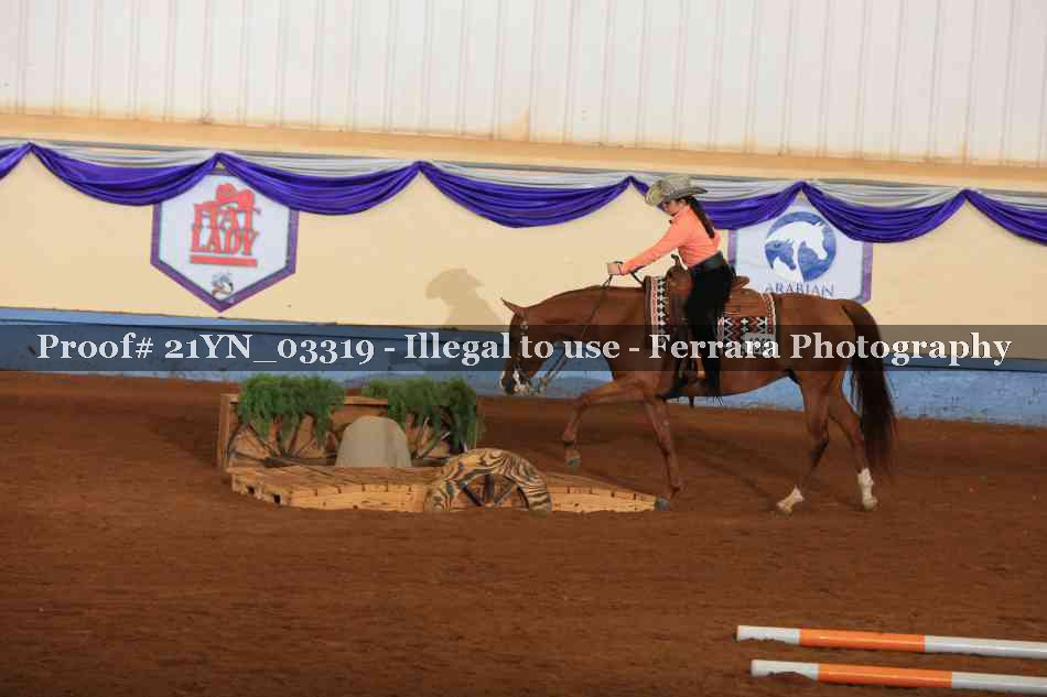 Proof 21YN_03319