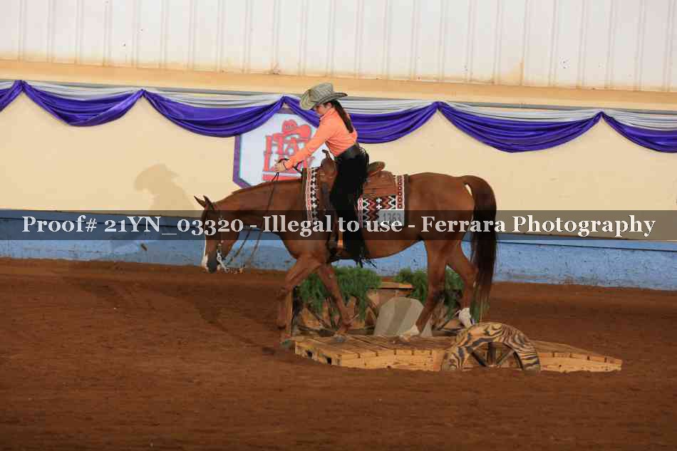 Proof 21YN_03320