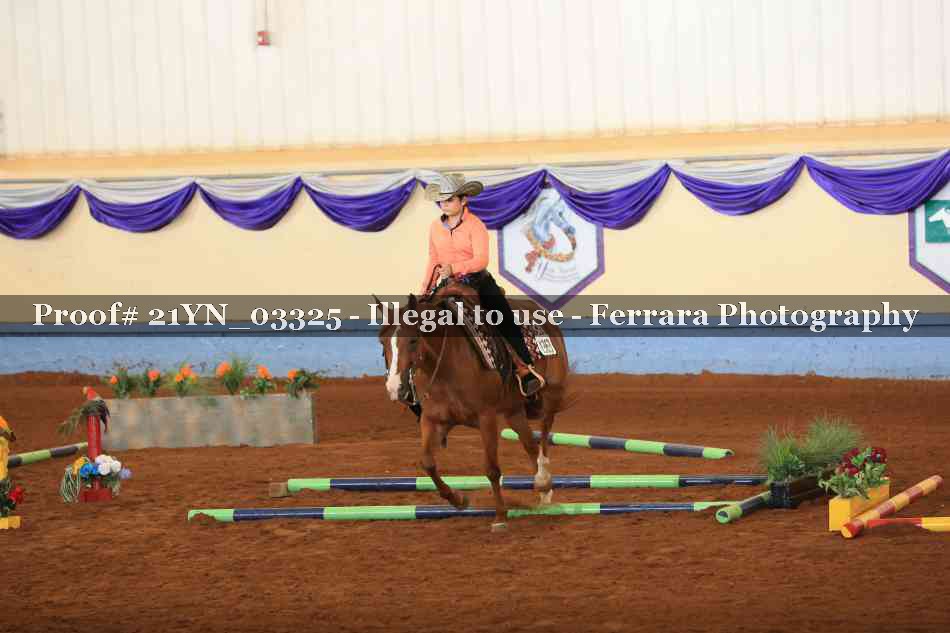 Proof 21YN_03325