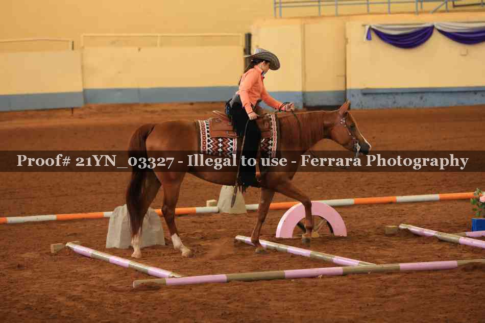 Proof 21YN_03327