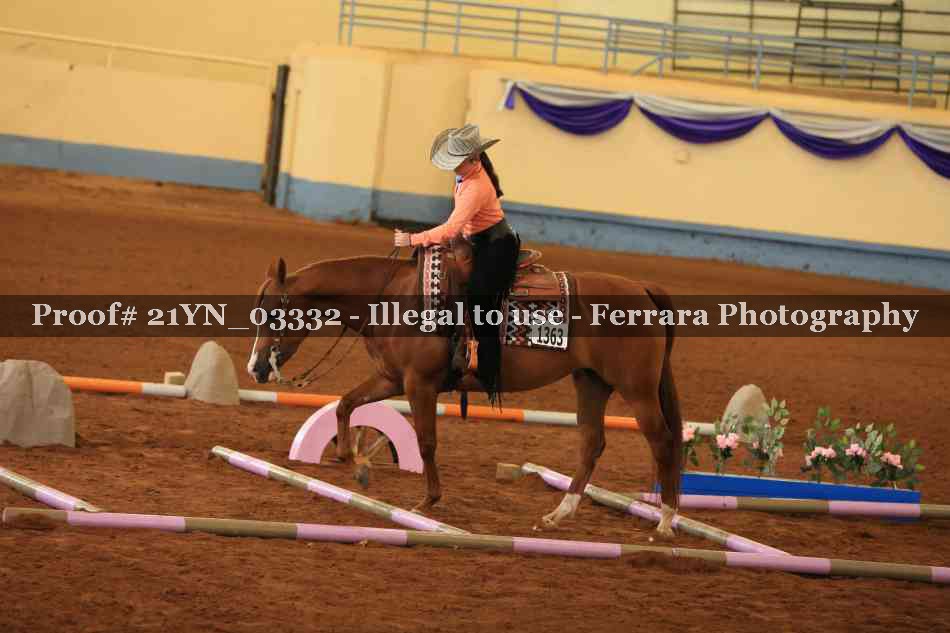 Proof 21YN_03332
