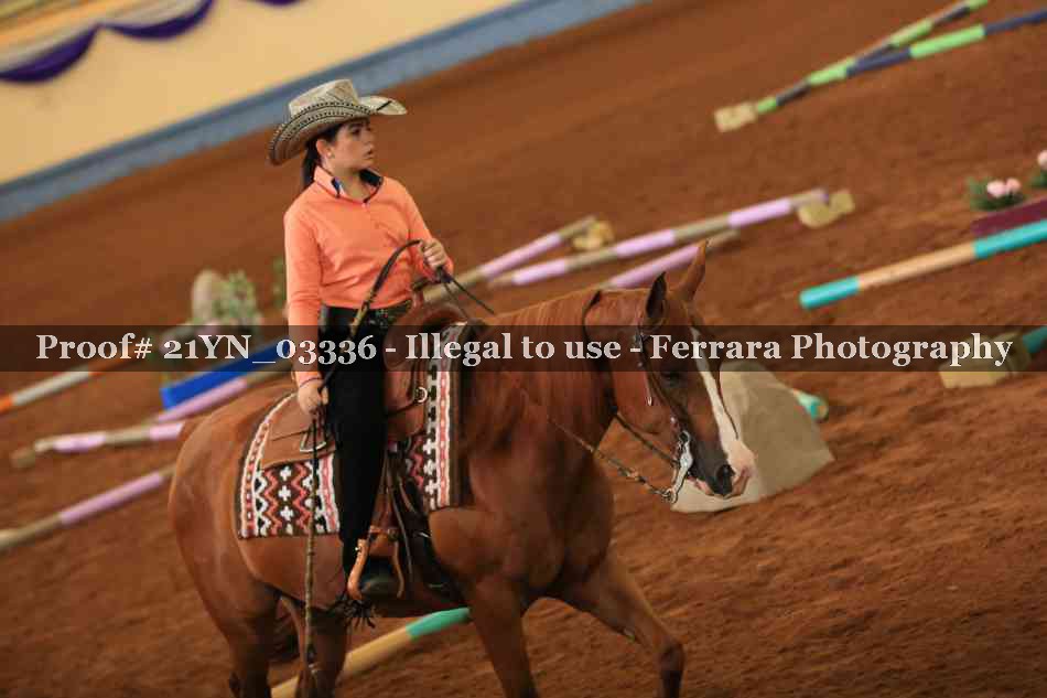 Proof 21YN_03336