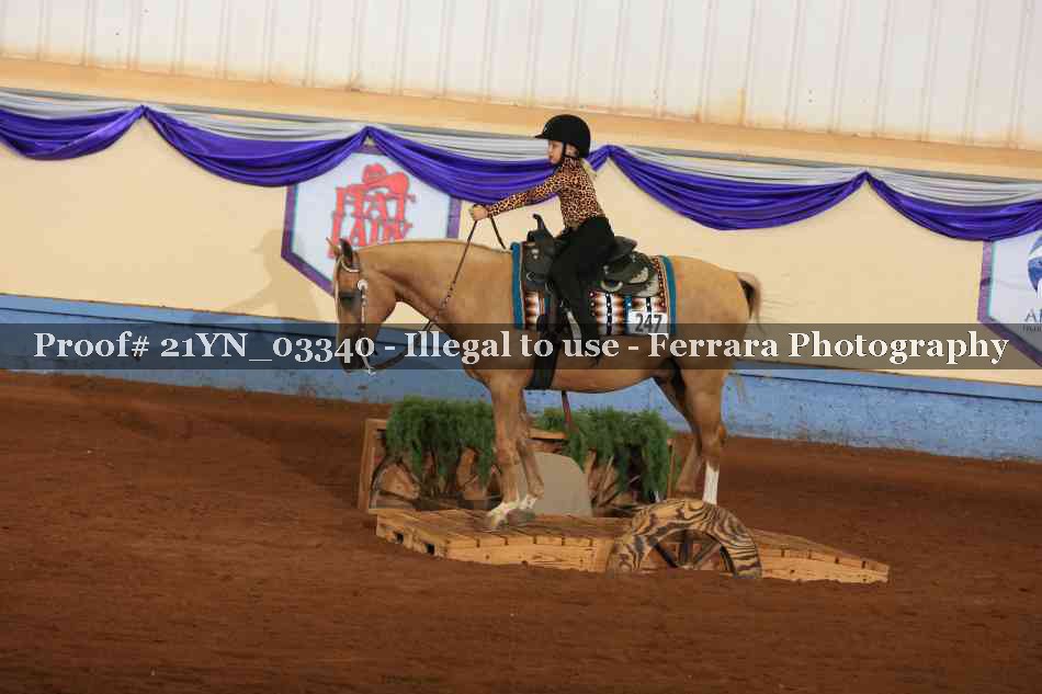 Proof 21YN_03340