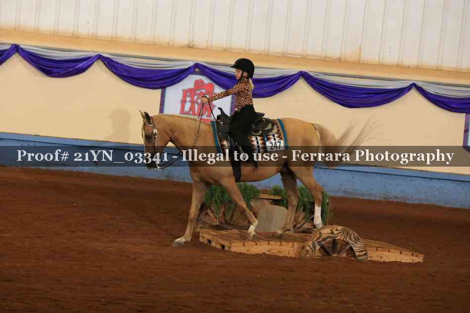 Proof 21YN_03341