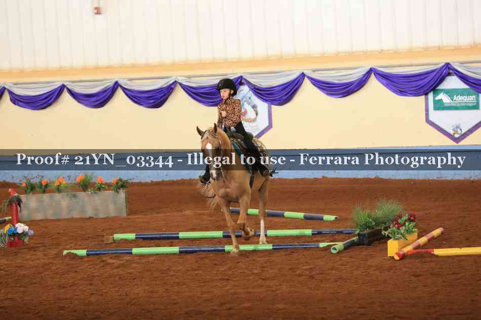Proof 21YN_03344