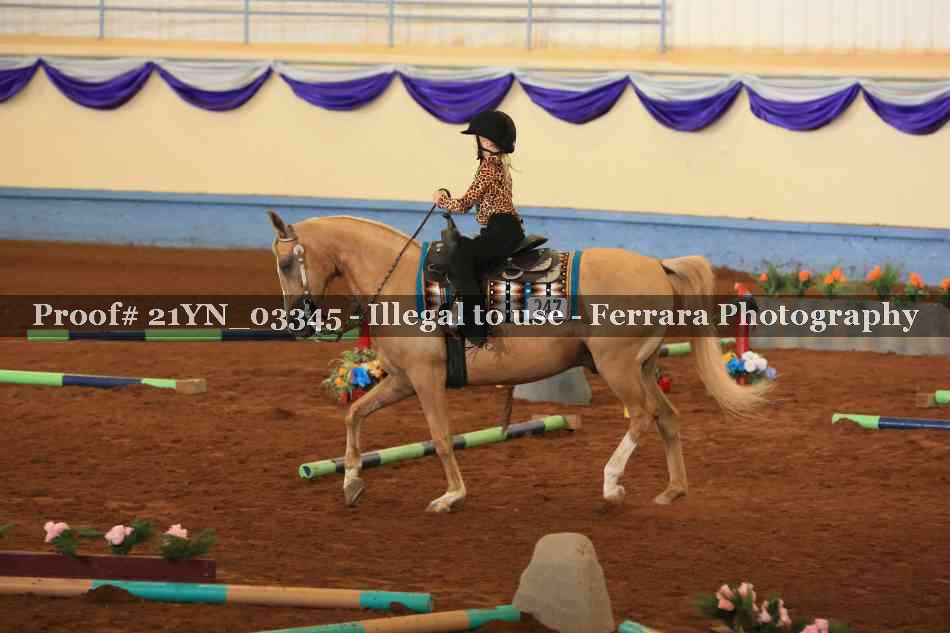 Proof 21YN_03345
