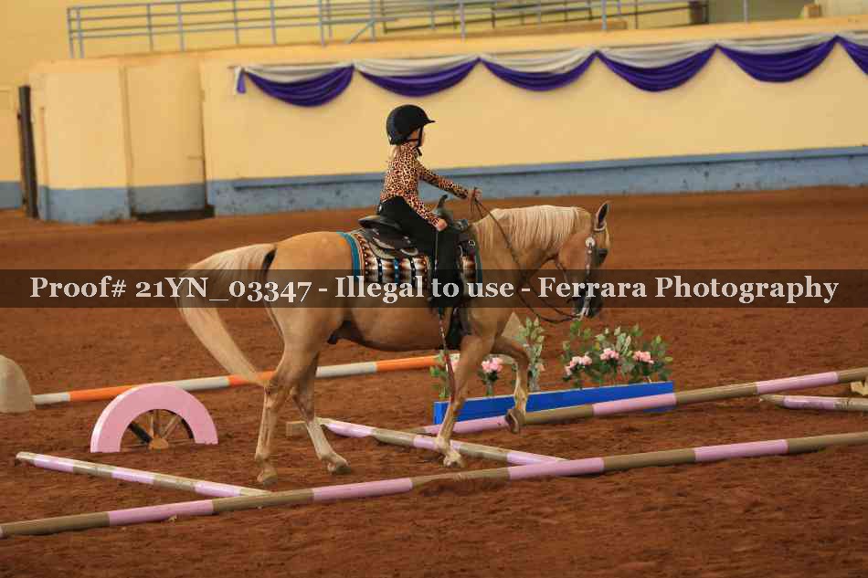 Proof 21YN_03347