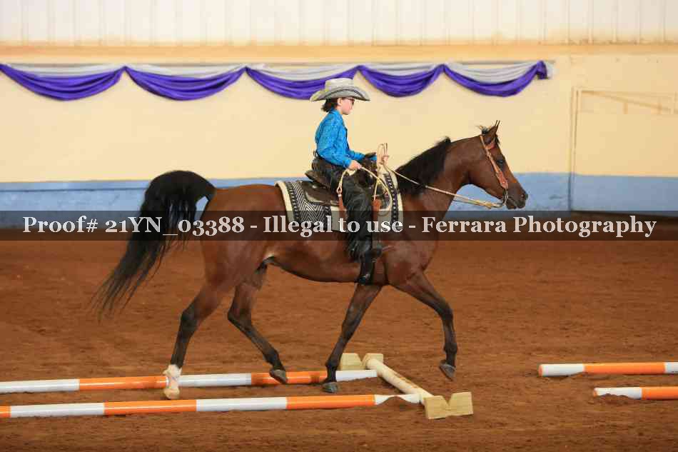 Proof 21YN_03388