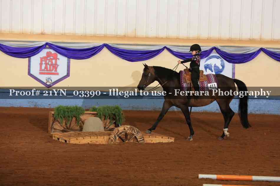 Proof 21YN_03390